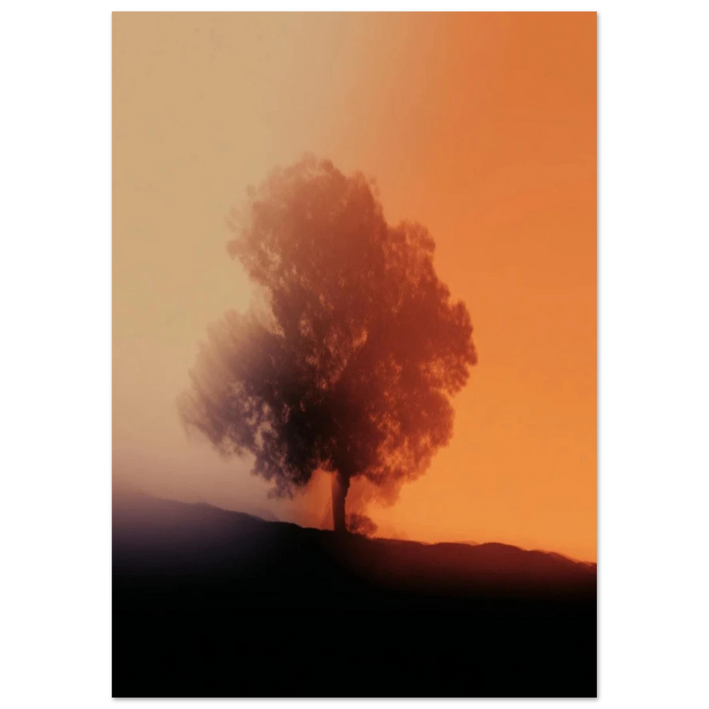 02ab8d0f-5863-4a66-b555-01c606e6909a