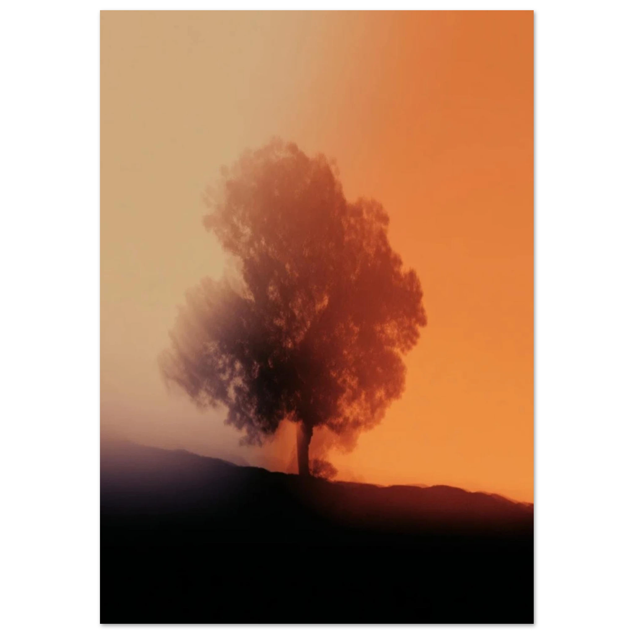 02ab8d0f-5863-4a66-b555-01c606e6909a