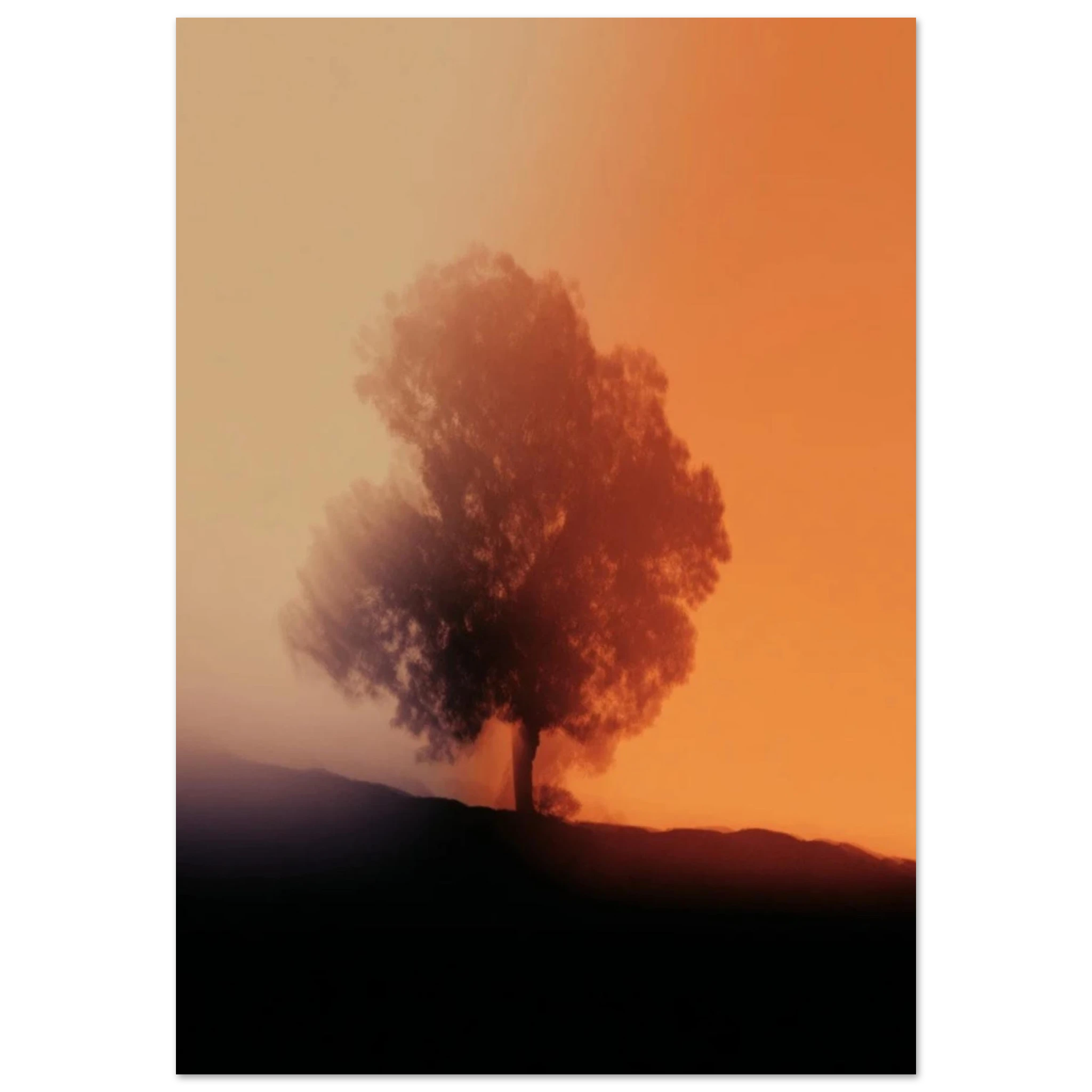 060adc82-85bc-4440-b849-a387d561a6cf