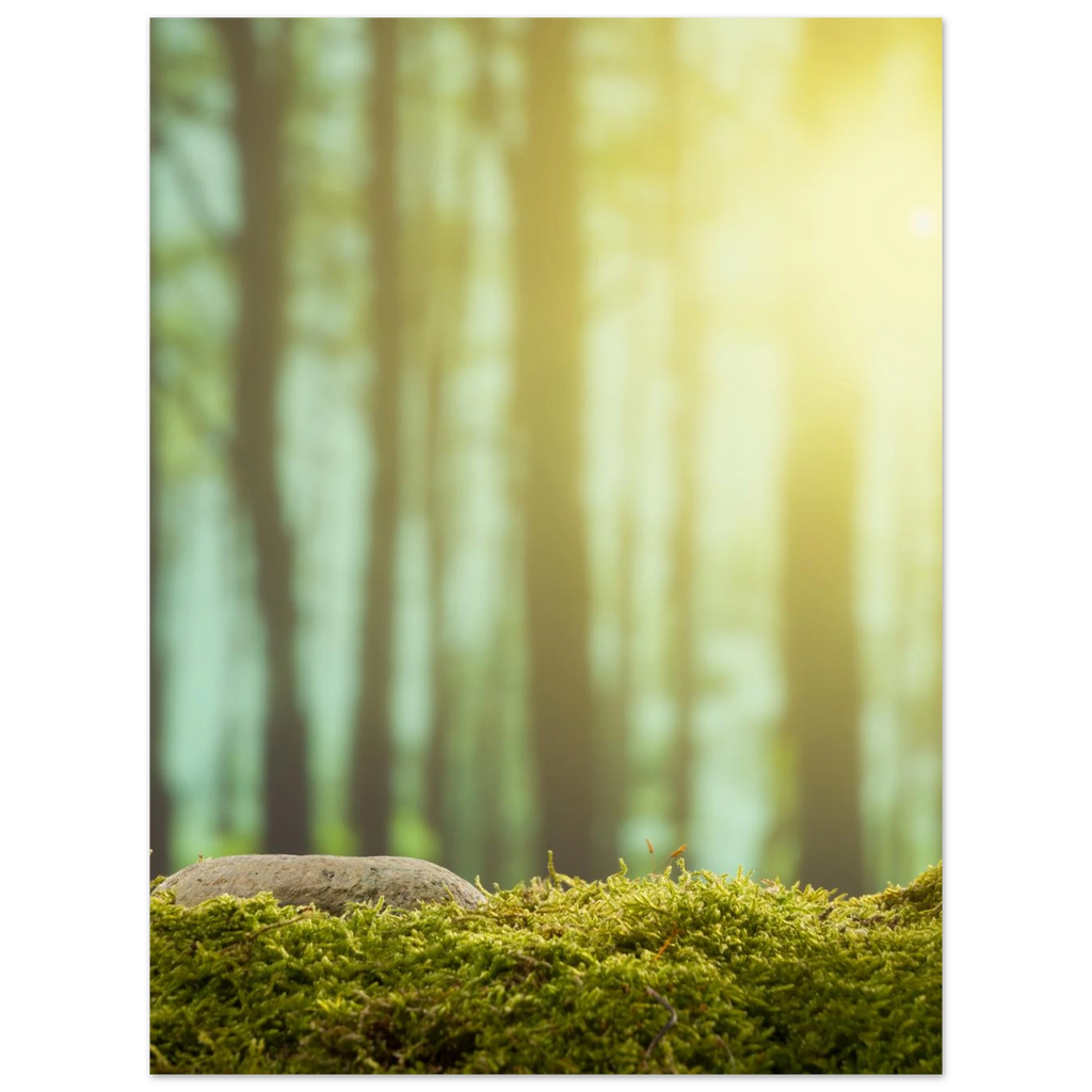 0a7dc4ef-208b-4907-811f-19054f313d1e