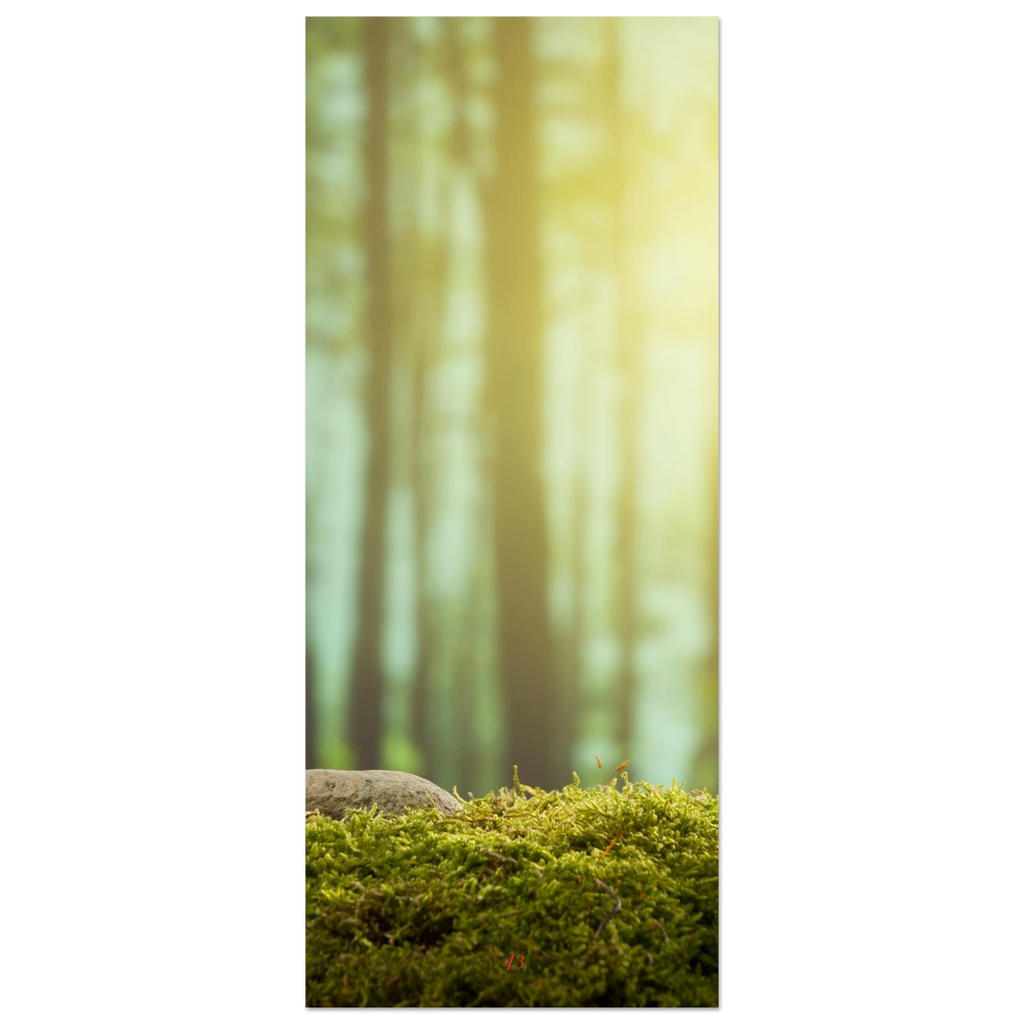 0d8491fe-e8e4-4c39-a50a-f7967ab7deae