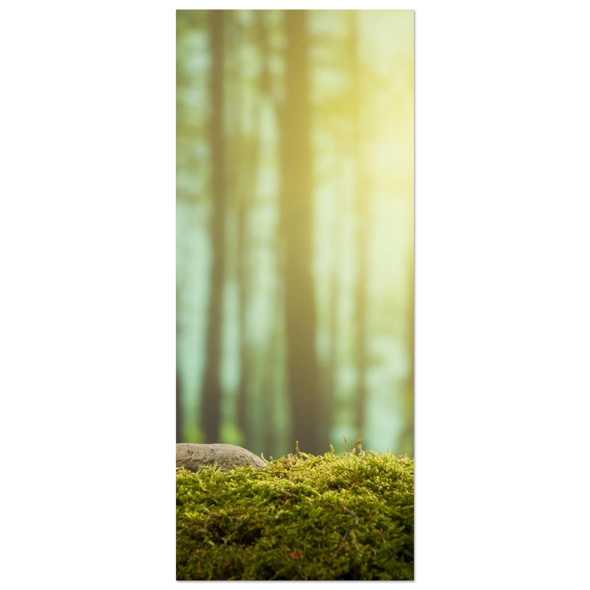 0d8491fe-e8e4-4c39-a50a-f7967ab7deae