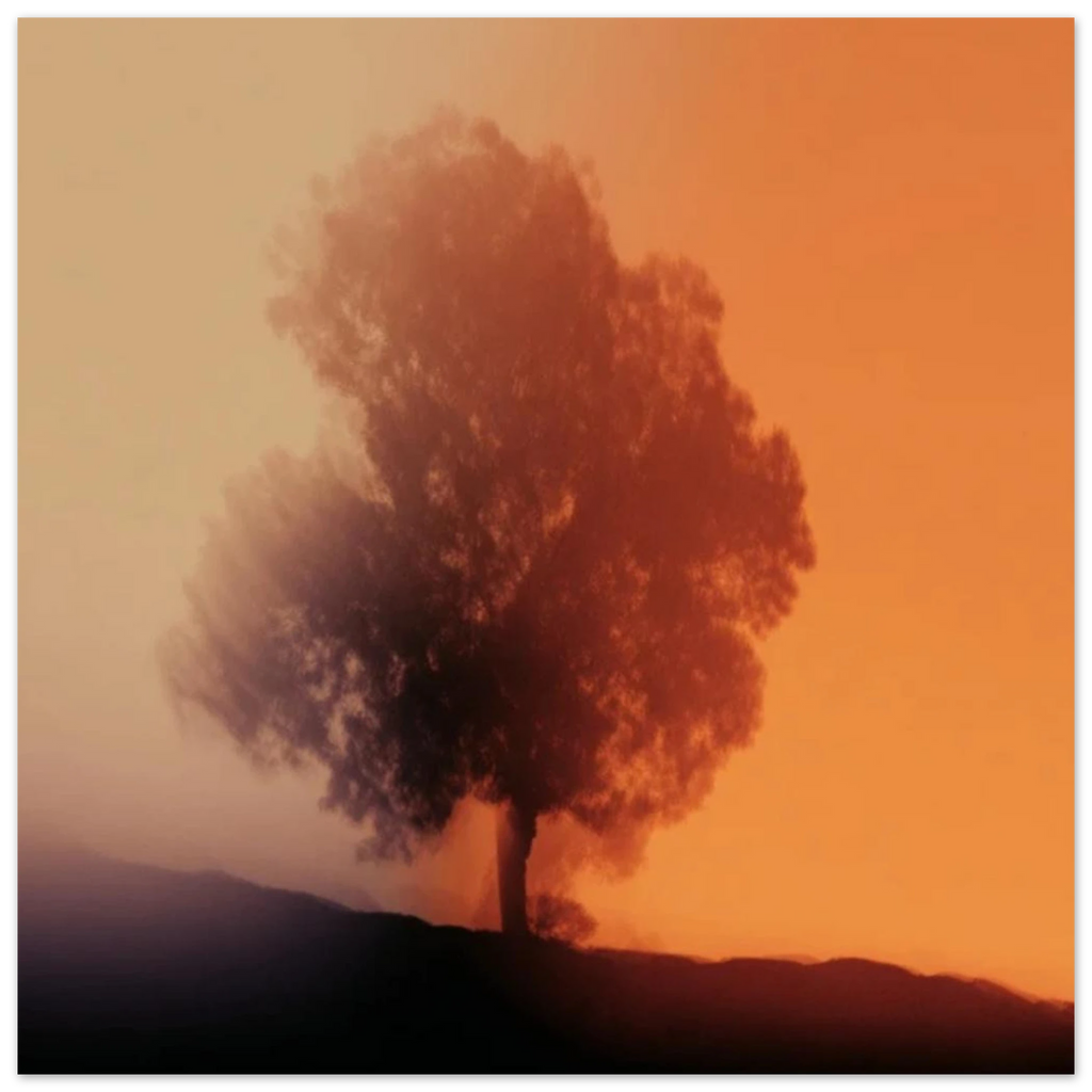 17cd6f26-d06c-4ebf-a18b-c3f5590c8b27