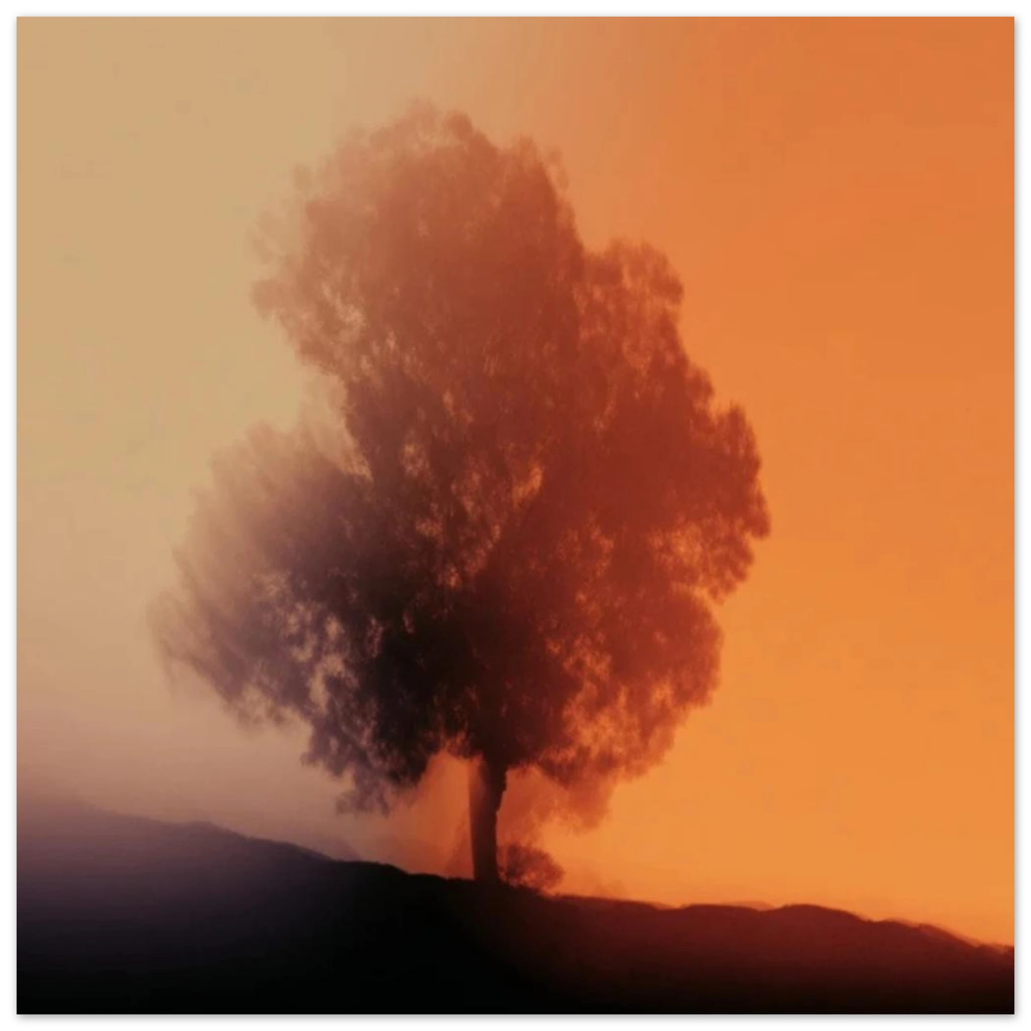 17cd6f26-d06c-4ebf-a18b-c3f5590c8b27