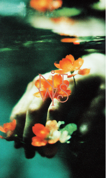 "FLORA FUTURA: Eine Symphonie in Orange & Blau" – Digitaler Kunstdruck