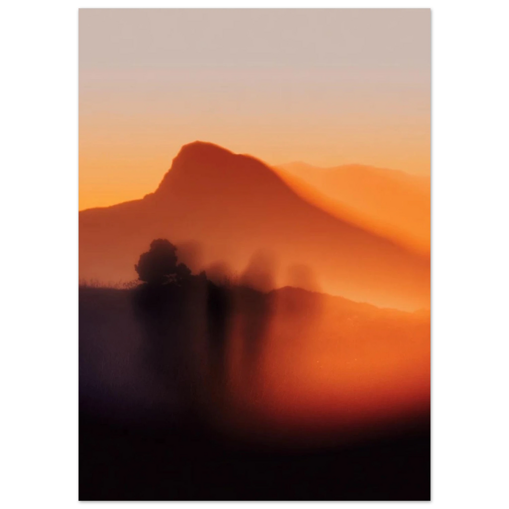 1ba46db5-f539-4425-bec0-5a297f8dafed