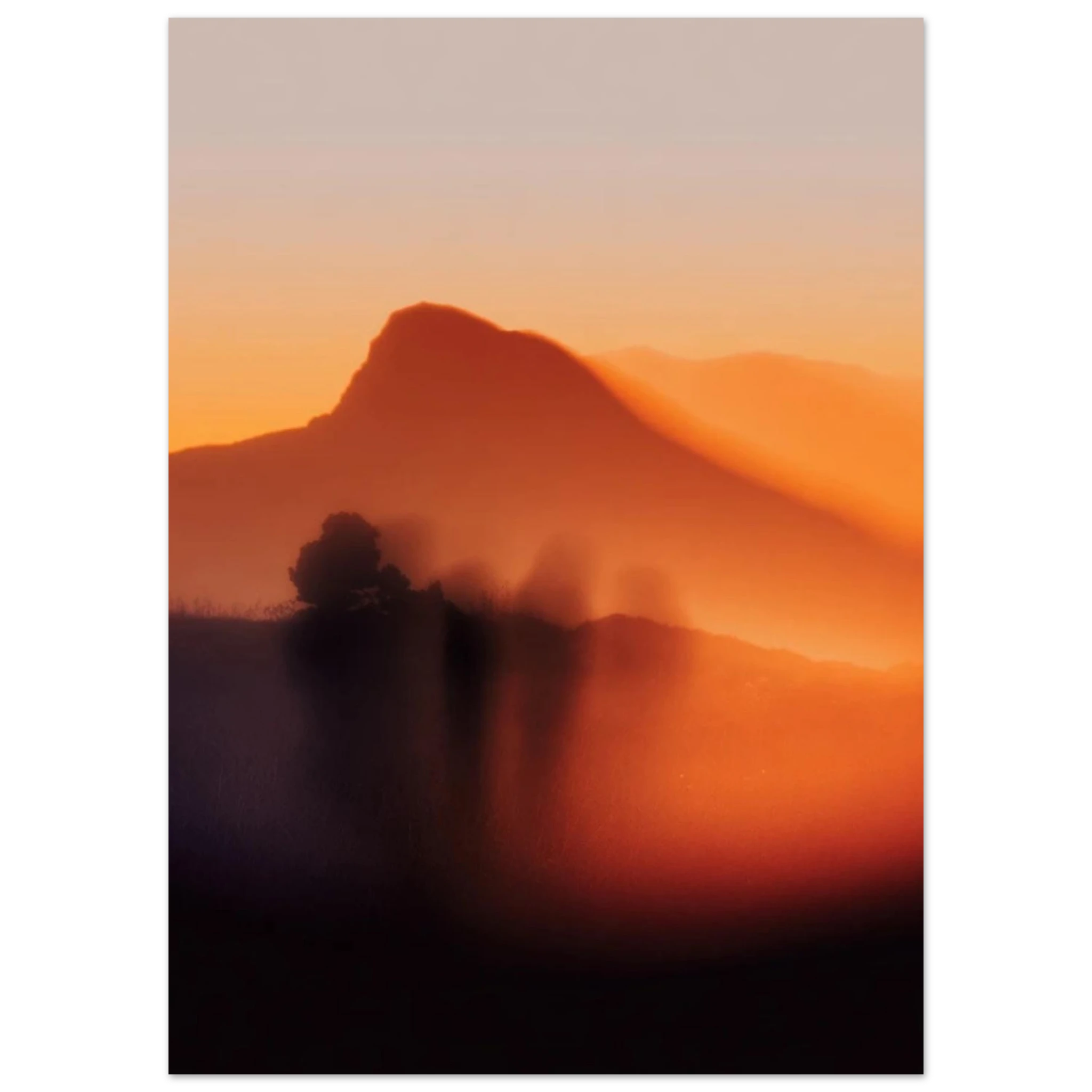 1ba46db5-f539-4425-bec0-5a297f8dafed