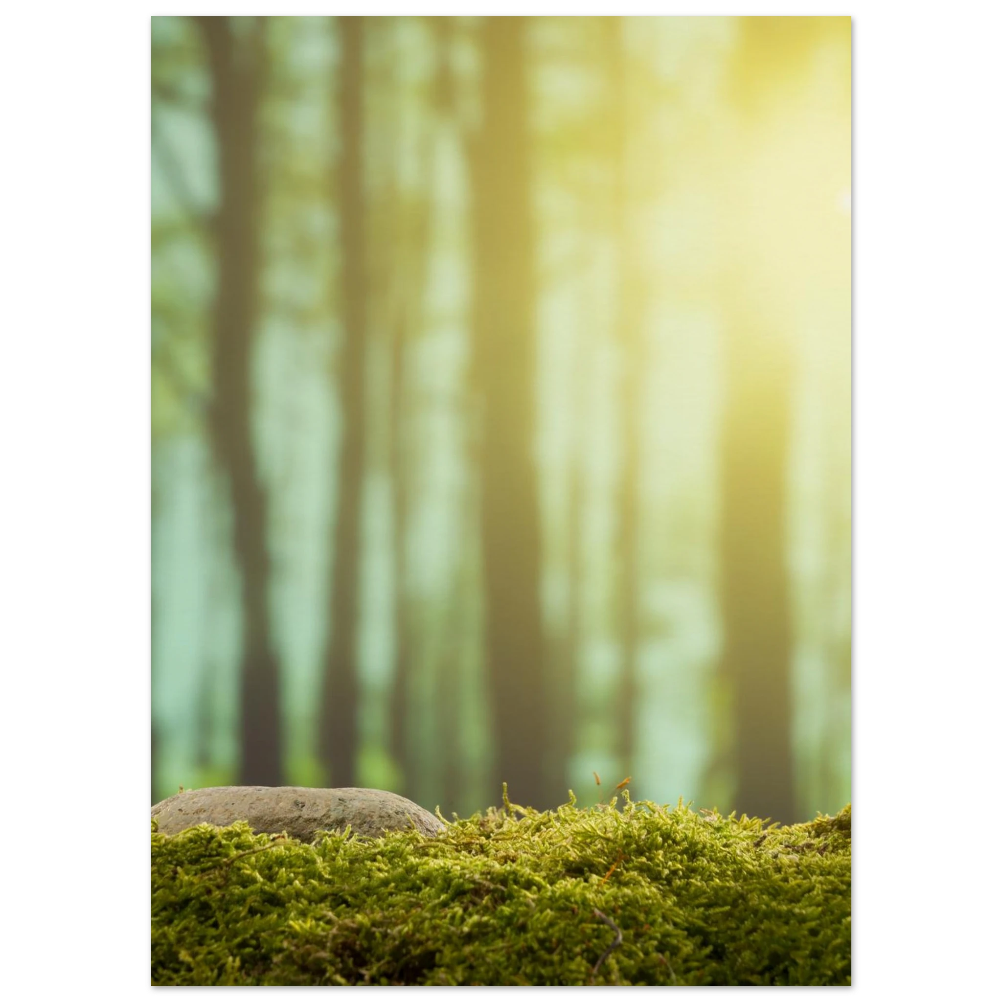 21d81a08-a03b-4cd1-8227-f5ab883c02f2