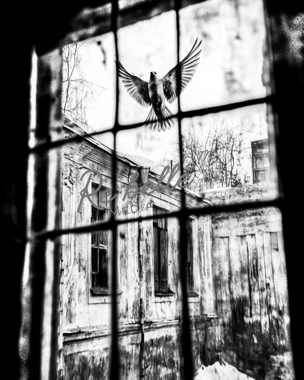 "Urban Requiem: A Study in Flight and Rain"