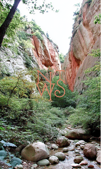 "Sacred Groves: Ein Flüstern der alten Welt" – Digitaler Kunstdruck