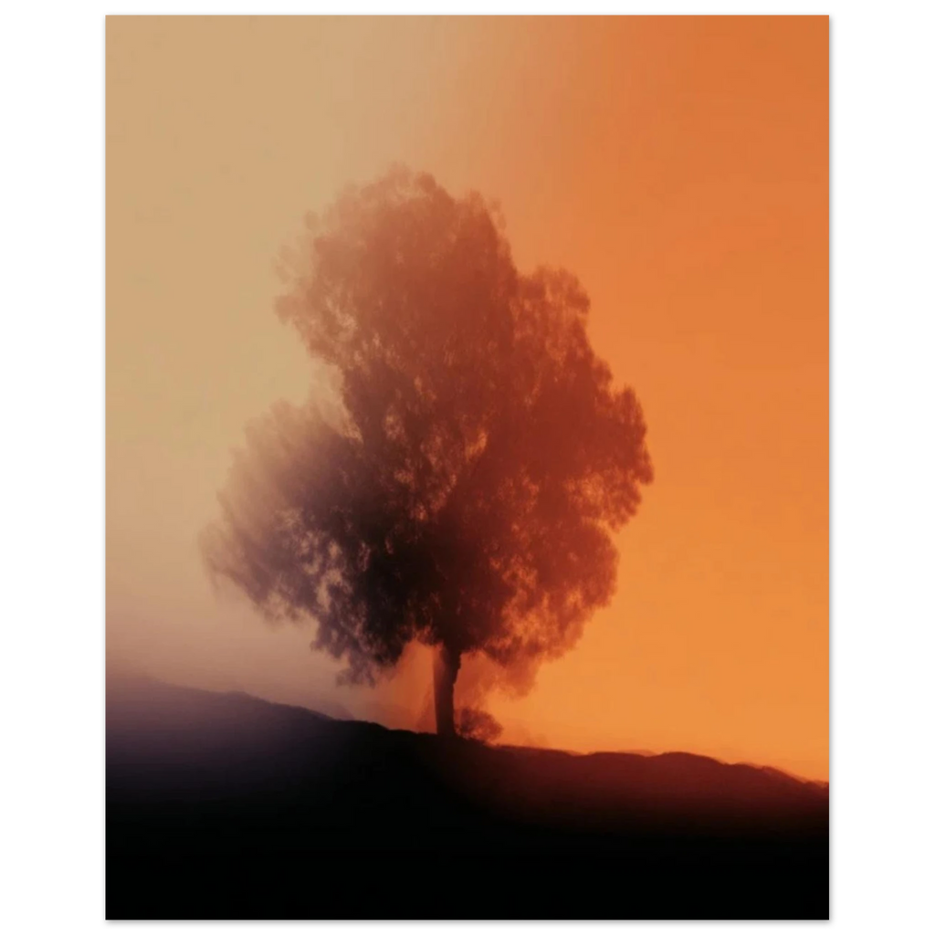 41fd3cf0-0136-4bff-8836-16111b5ced5b