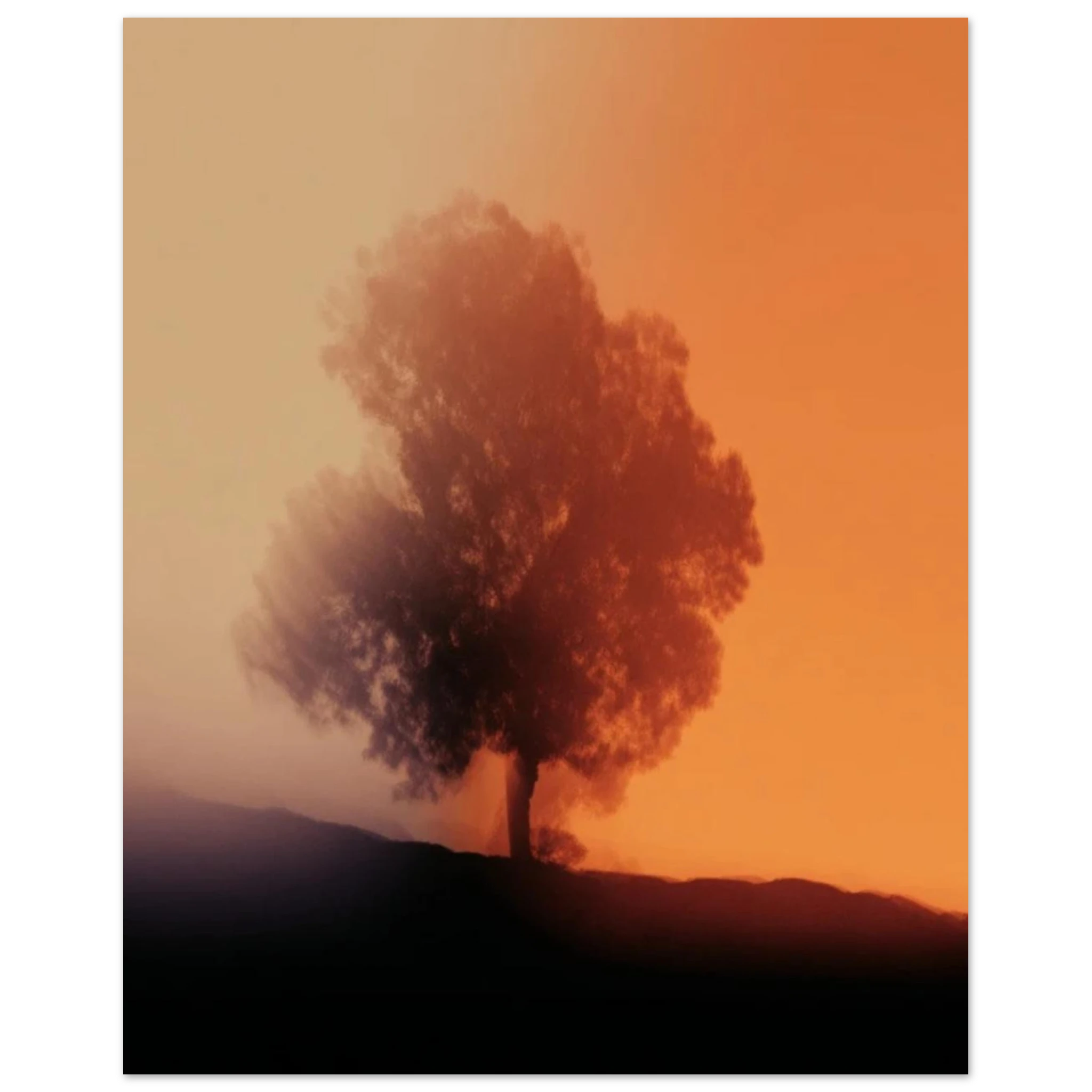 41fd3cf0-0136-4bff-8836-16111b5ced5b