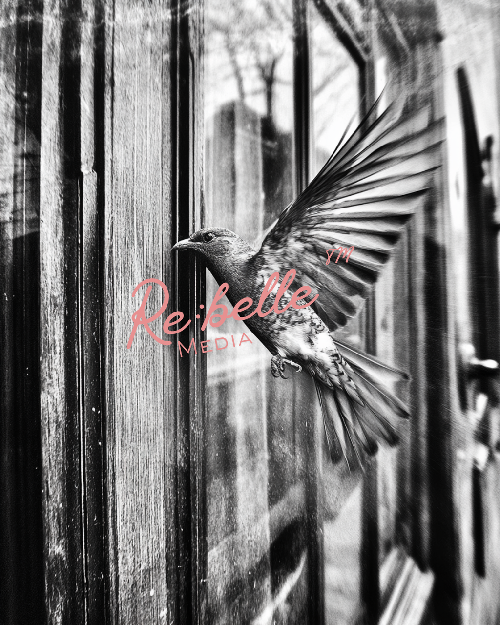 "Urban Requiem: A Study in Flight and Rain"