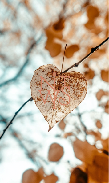 "The Alchemist's Daughter: Eine Fabel in Gold und Schatten" – Digitaler Kunstdruck