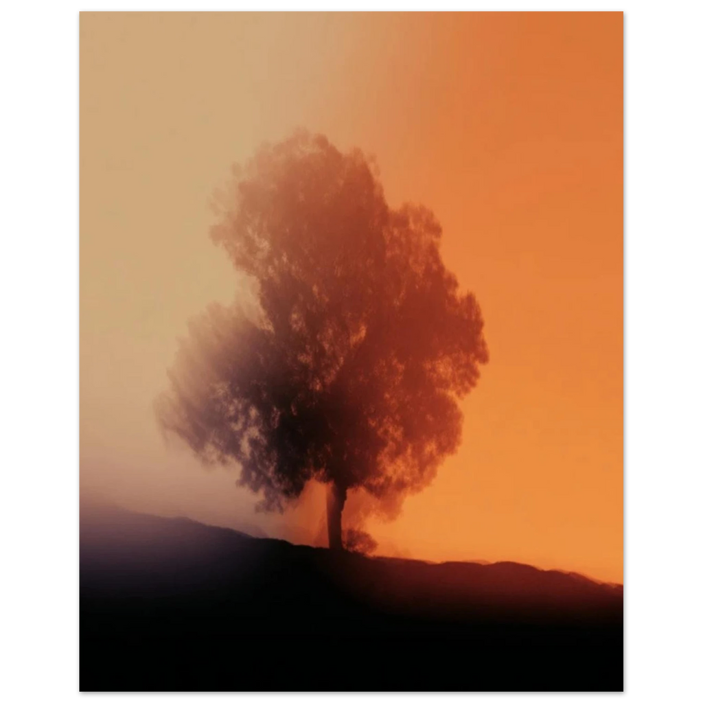 4add44d1-2097-4ae5-a121-837e2cb7d010