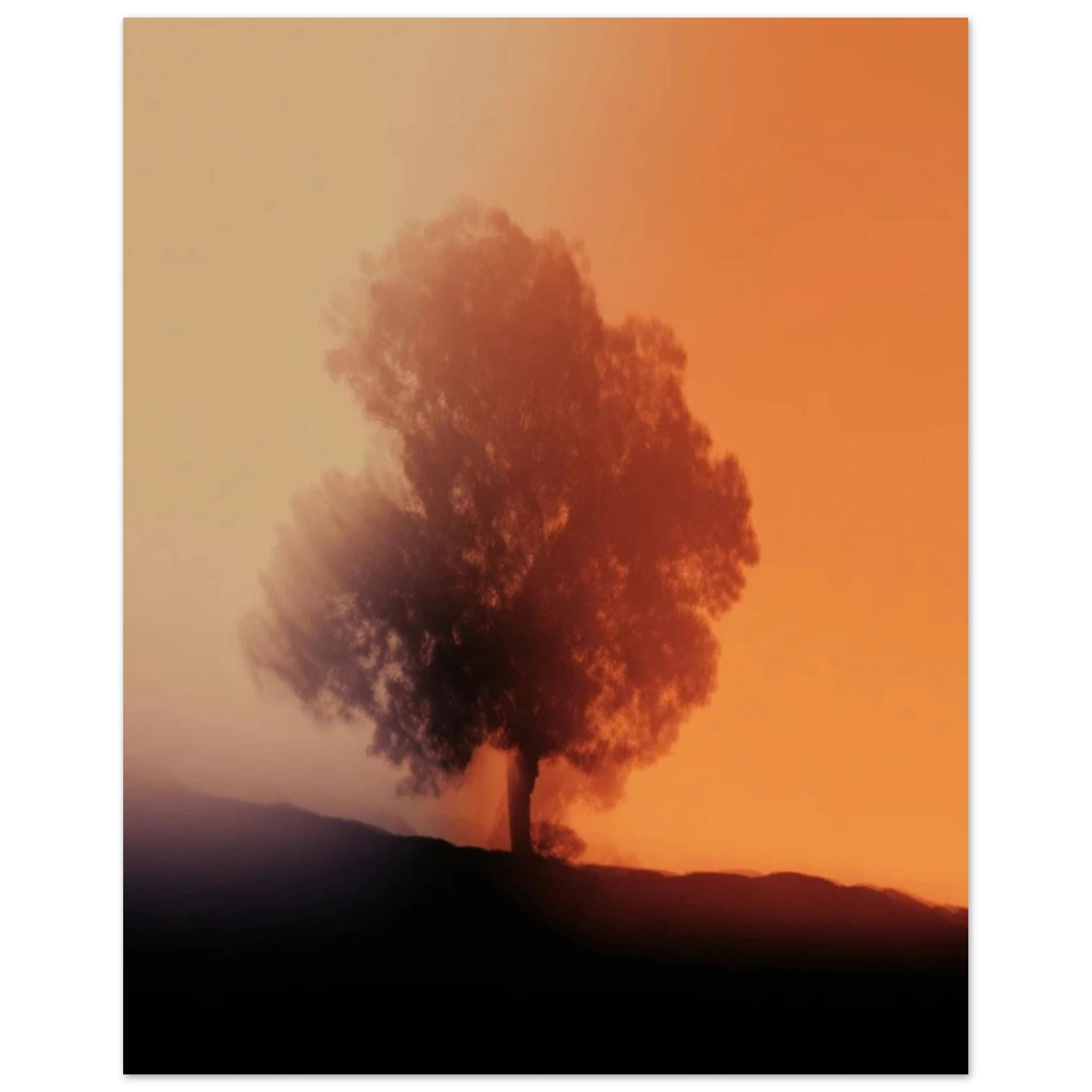 4add44d1-2097-4ae5-a121-837e2cb7d010