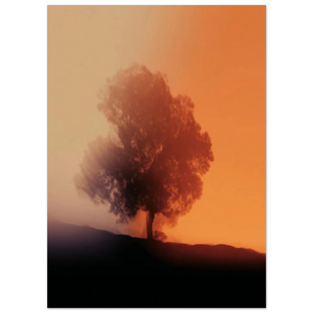 4c021fa4-6631-4e6f-af33-dfd4f66bffc5