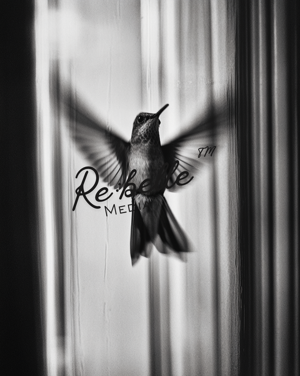 "Urban Requiem: A Study in Flight and Rain"