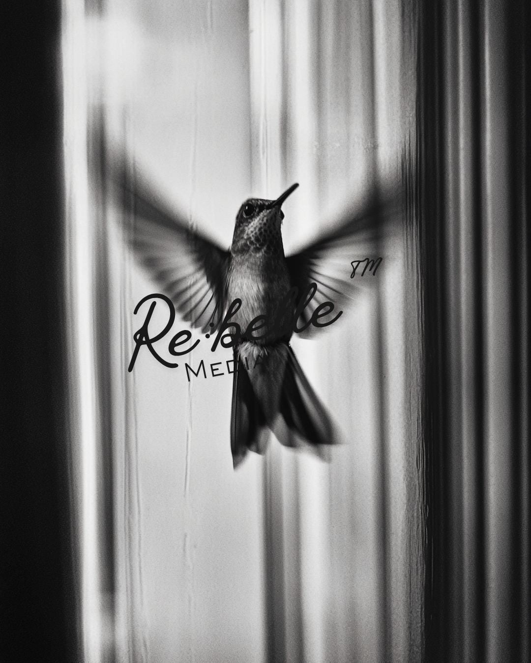 "Urban Requiem: A Study in Flight and Rain"