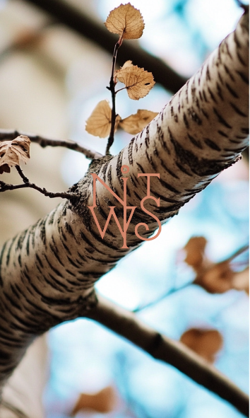 "The Alchemist's Daughter: Eine Fabel in Gold und Schatten" – Digitaler Kunstdruck