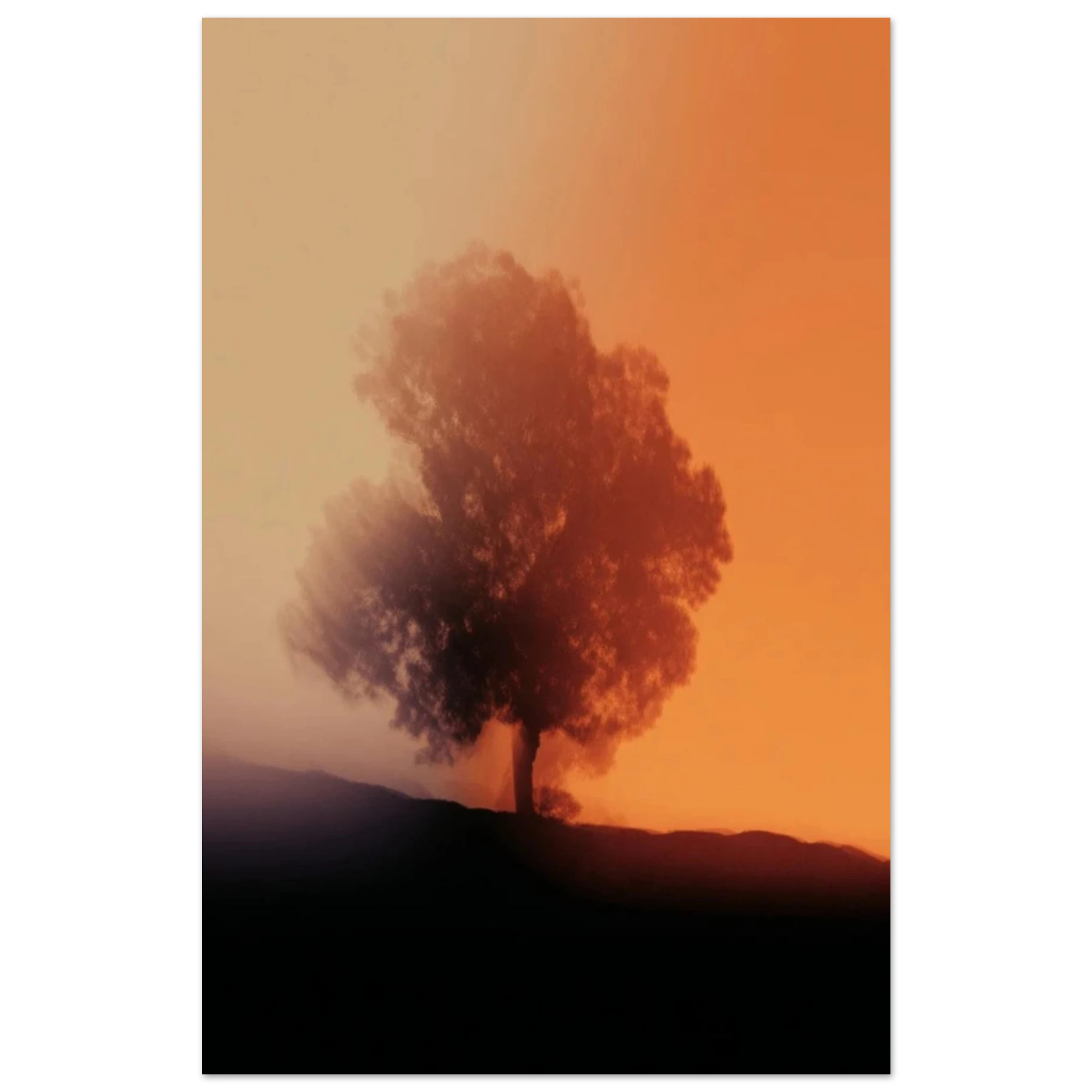 5b7cc6d5-a9ad-4264-9d86-b8ef8f36991b