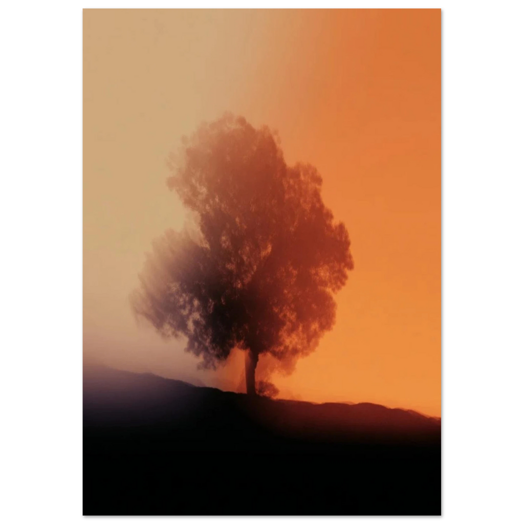 5c3b59e9-c66b-4fc4-a8a0-f194db89853b