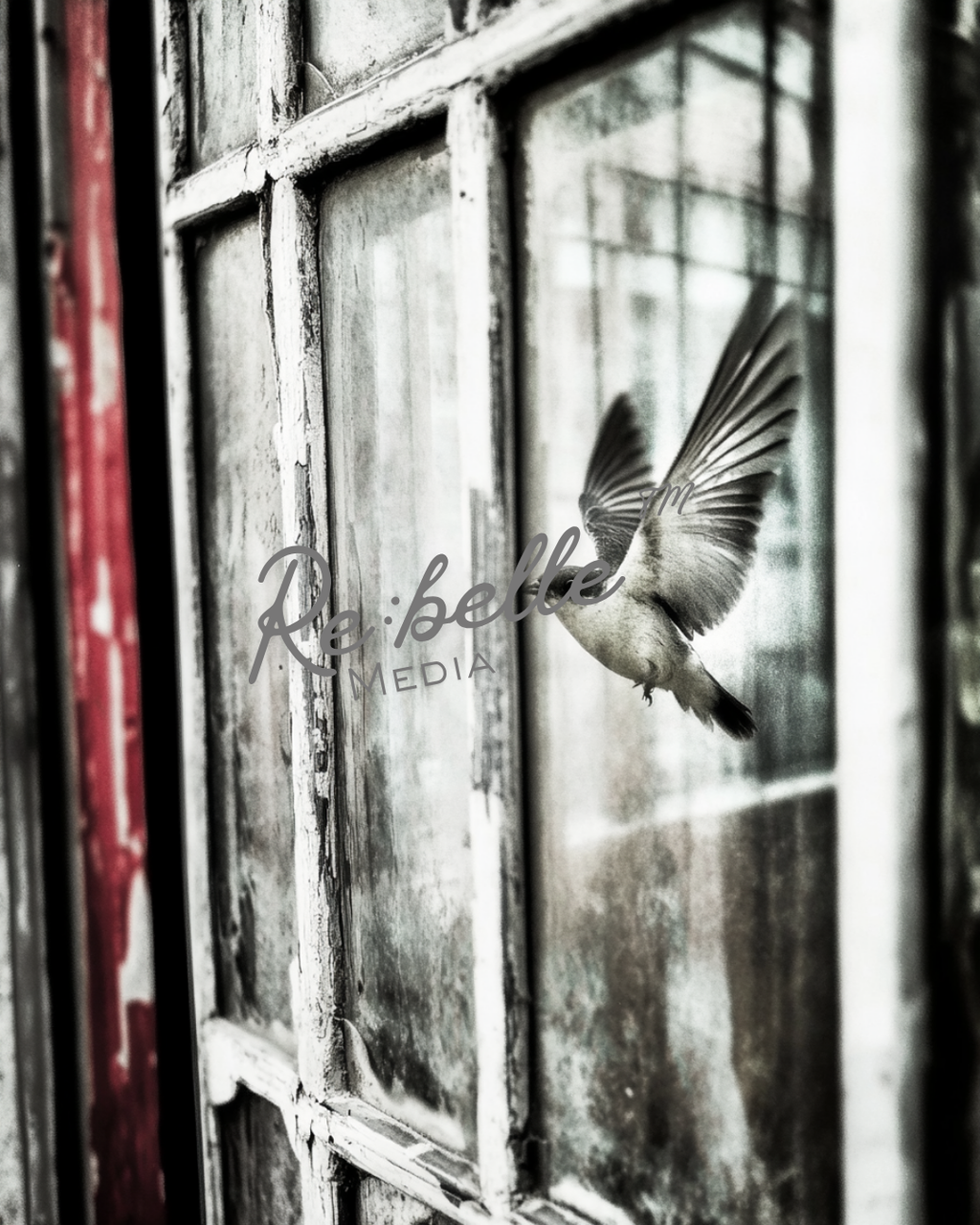 "Urban Requiem: A Study in Flight and Rain"