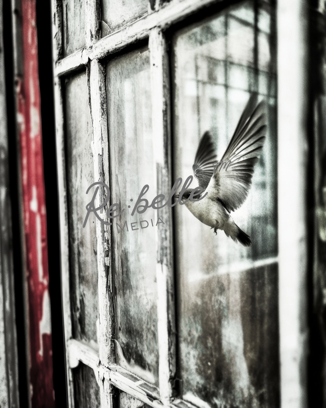 "Urban Requiem: A Study in Flight and Rain"