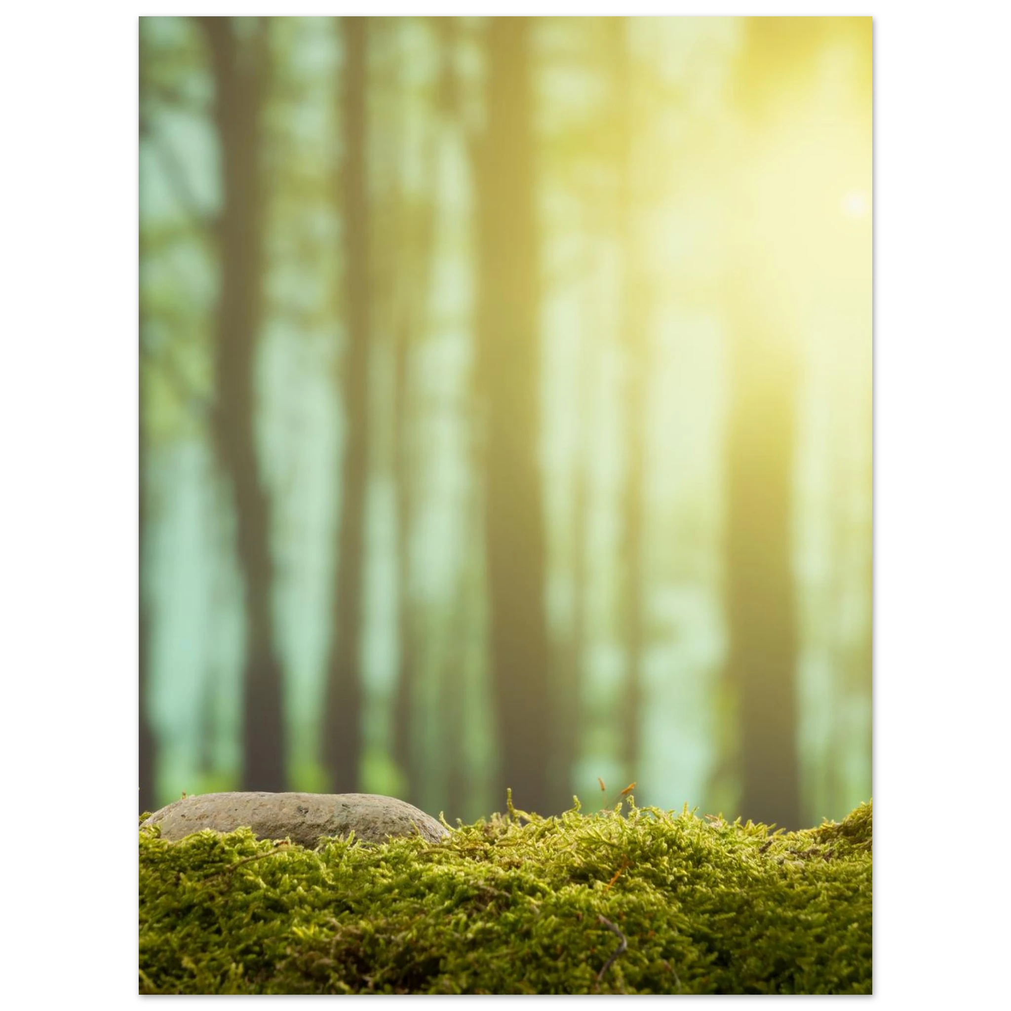 75100421-d0ed-41dd-970f-04d4d96499ca