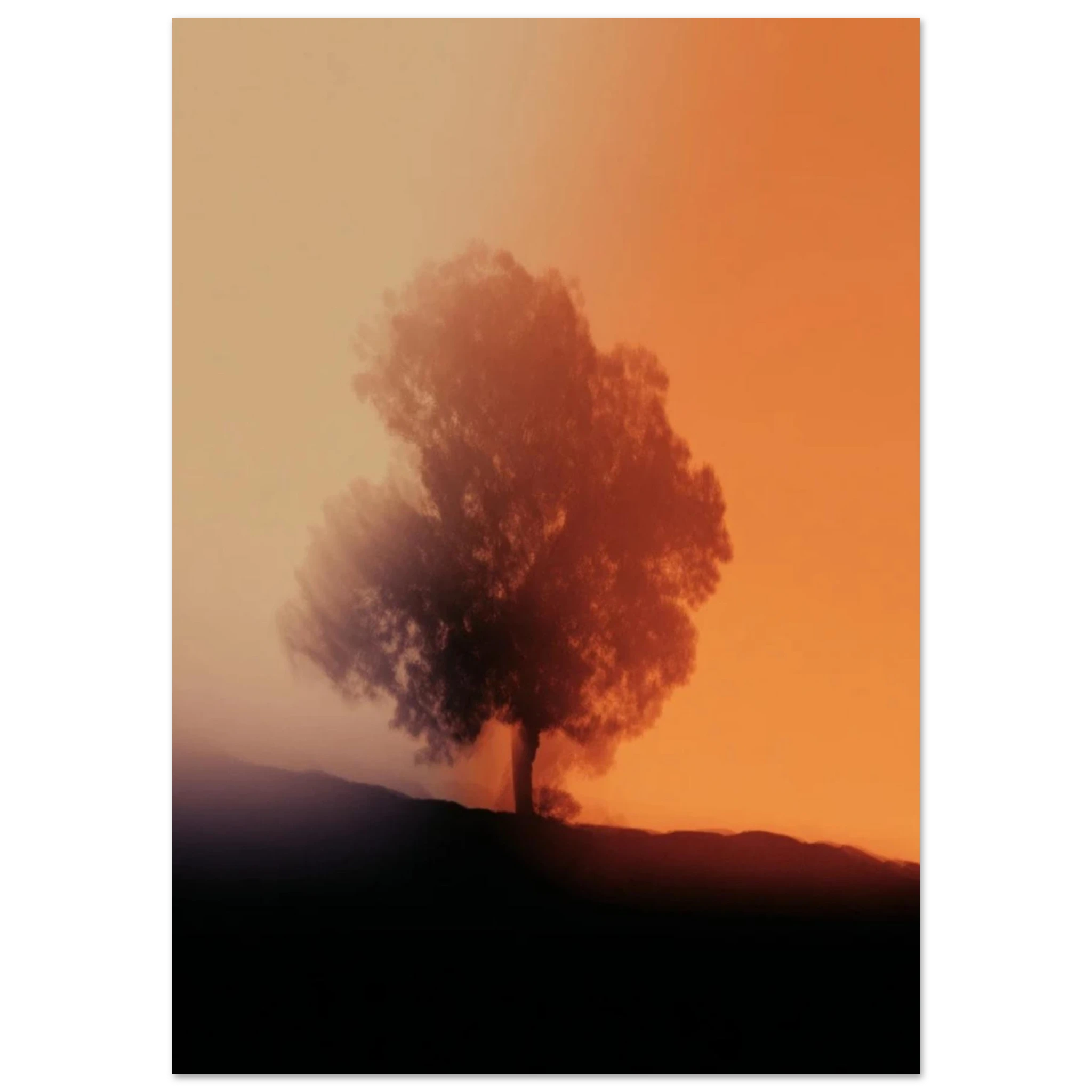 78c2e8be-16c7-4fc6-ab3c-89bf3076baeb