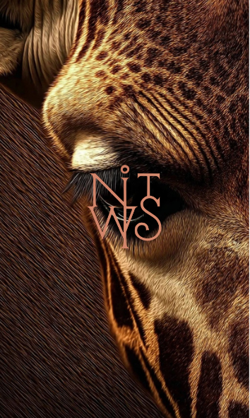 "Pixel-Surrealismus: Dunkle Träume & Goldene Texturen" – A2 Digitaler Kunstdruck