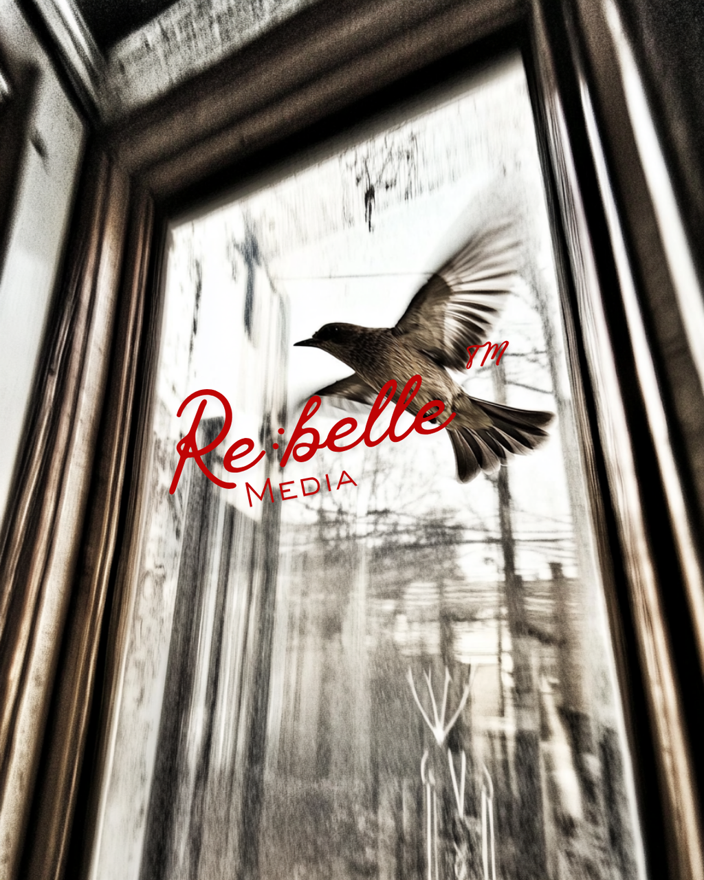 "Urban Requiem: A Study in Flight and Rain"