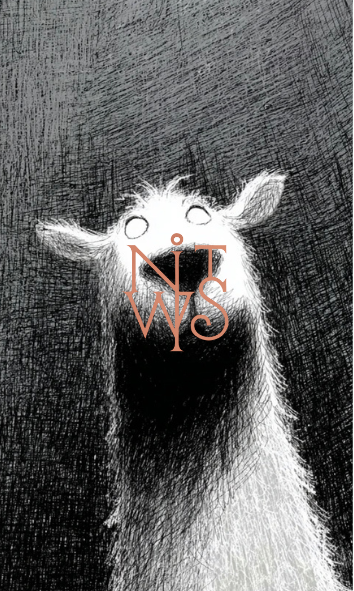 "Die Chroniken von Schatten & Licht: Eine Sammlung handgezeichneter Träume" – Digitaler Kunstdruck