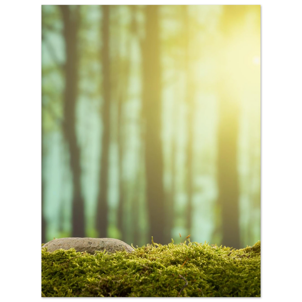 7d4dd06b-4569-471d-bcf2-c1224dfe85fd