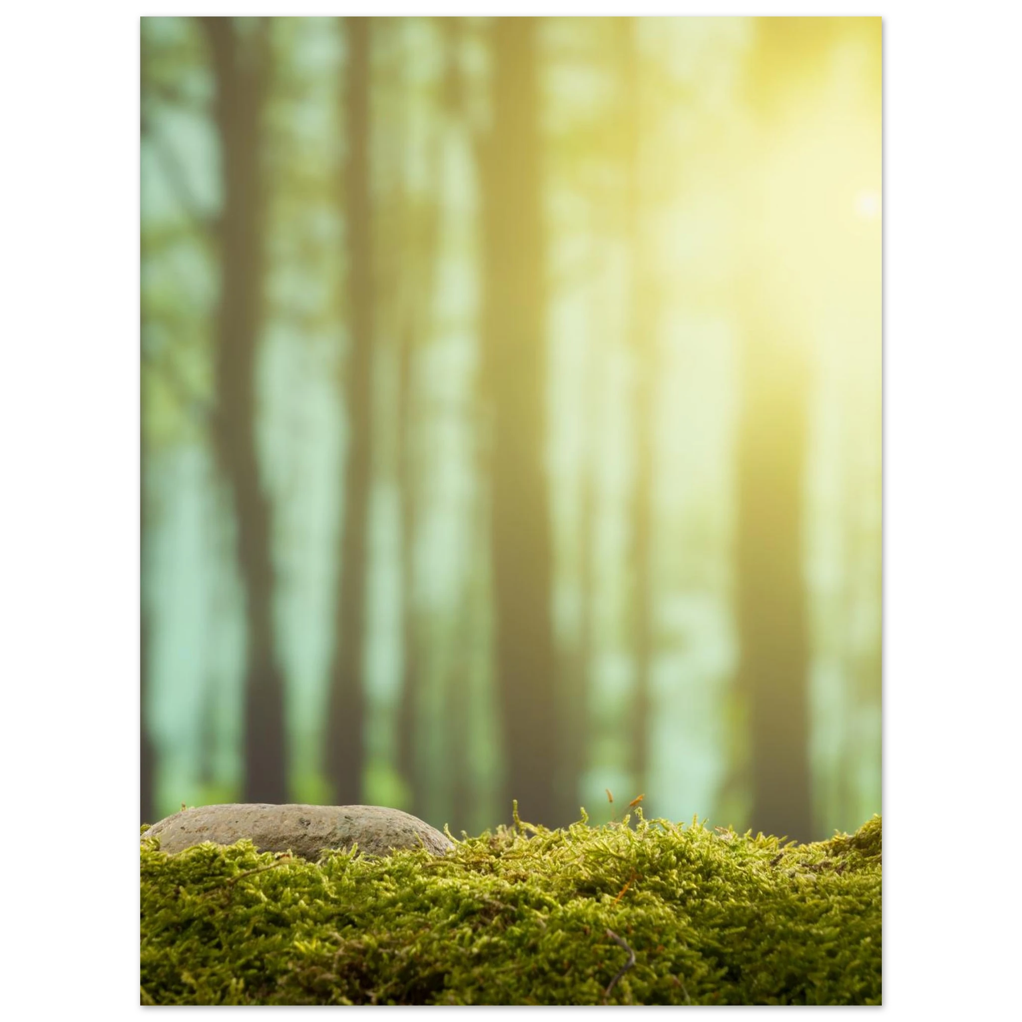 7d4dd06b-4569-471d-bcf2-c1224dfe85fd