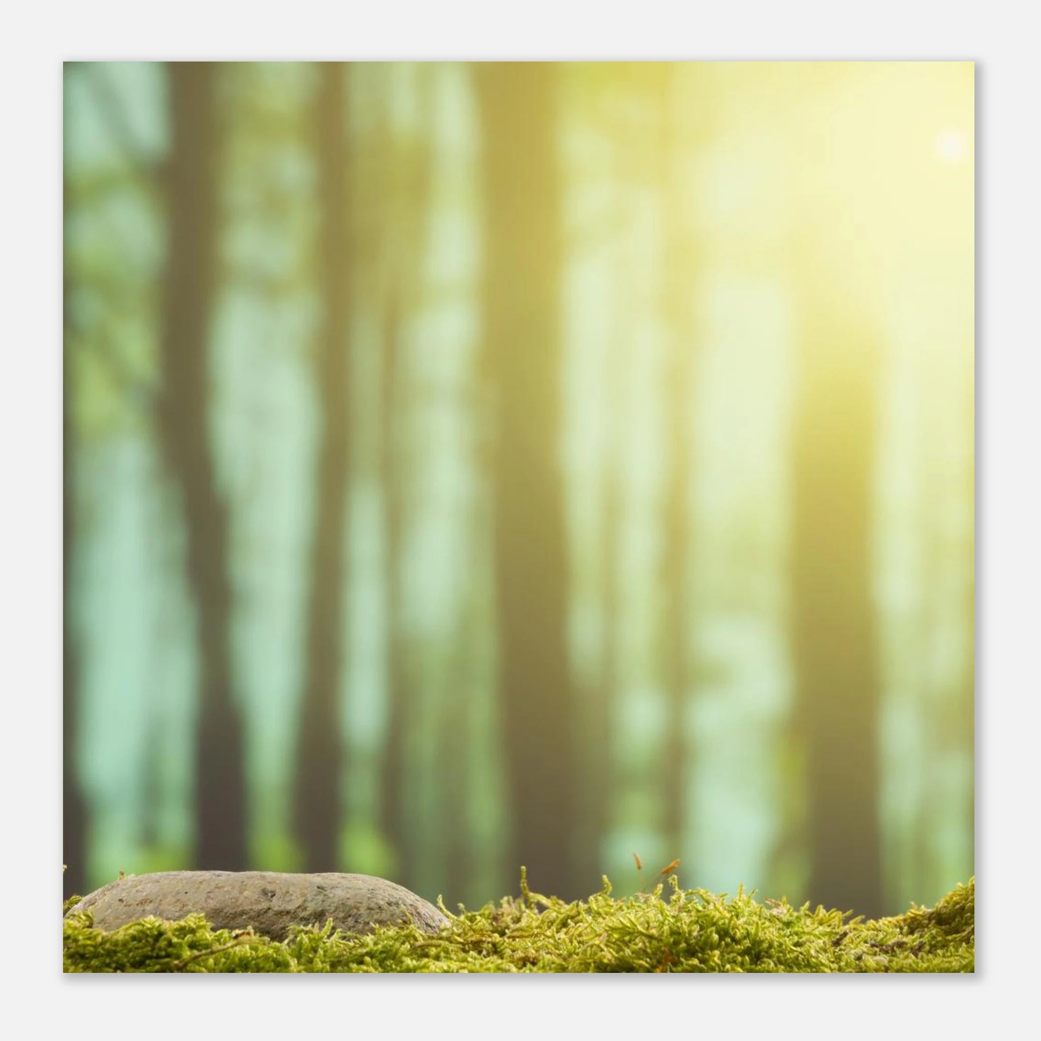 835a5bf6-a6ef-4d0a-aac1-0070ceaef188