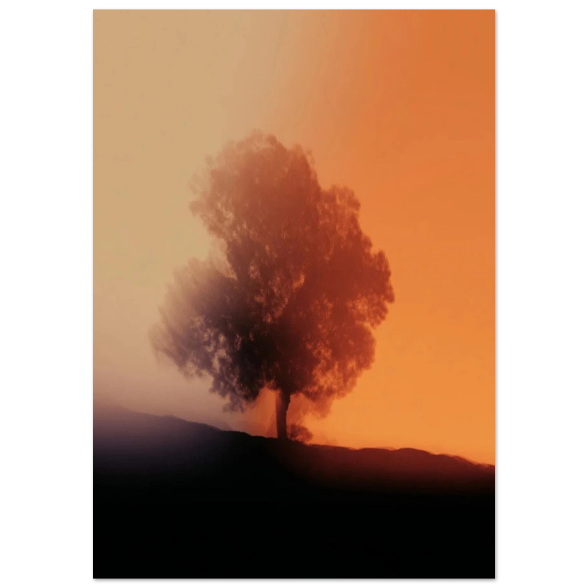 844d6165-d2d7-42b3-a8a5-b6f709867036