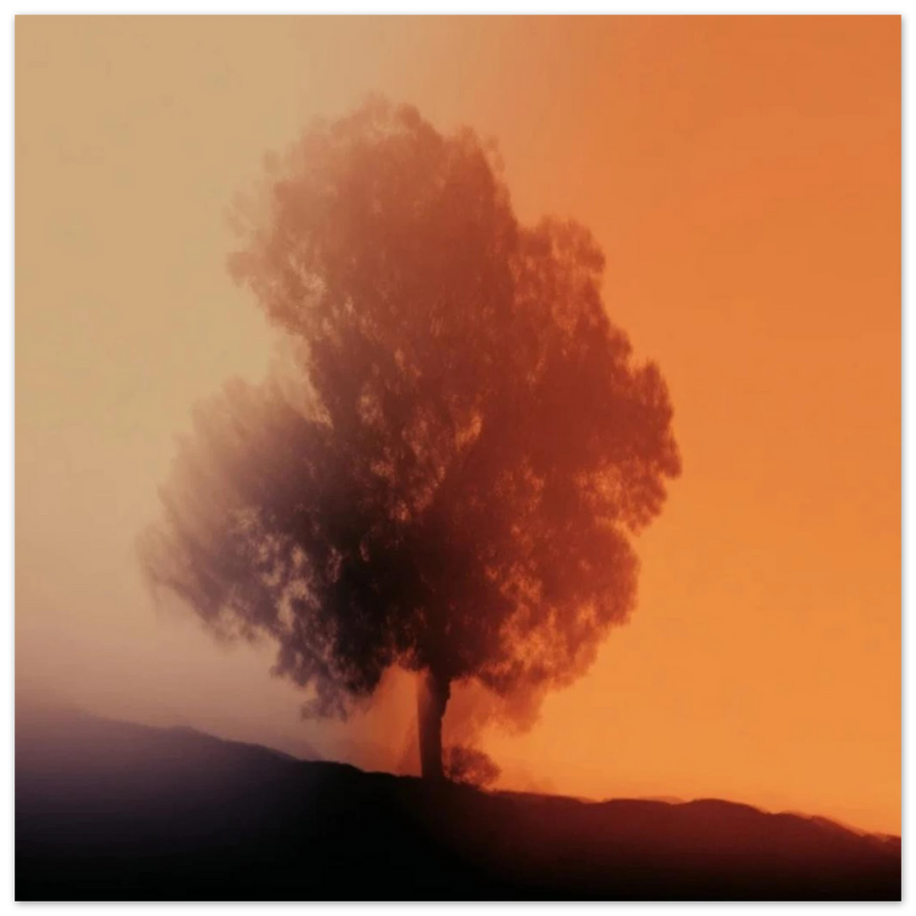 8755037e-6fbb-4bae-8d7e-e5a8d0a6b9da