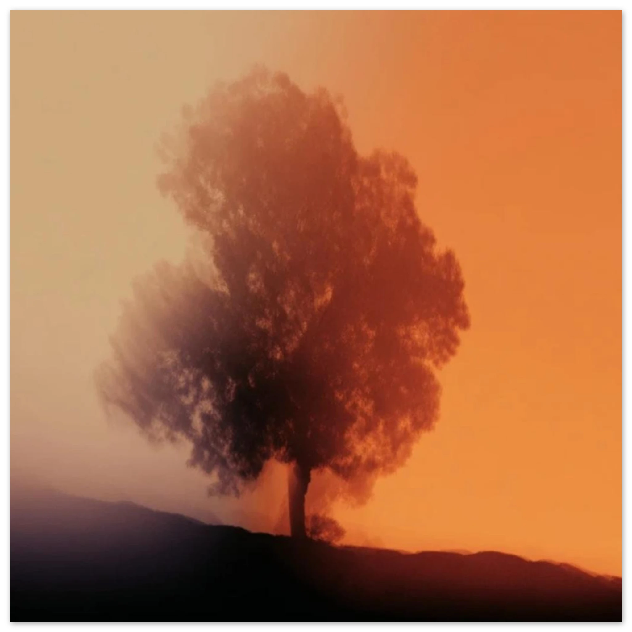 8755037e-6fbb-4bae-8d7e-e5a8d0a6b9da