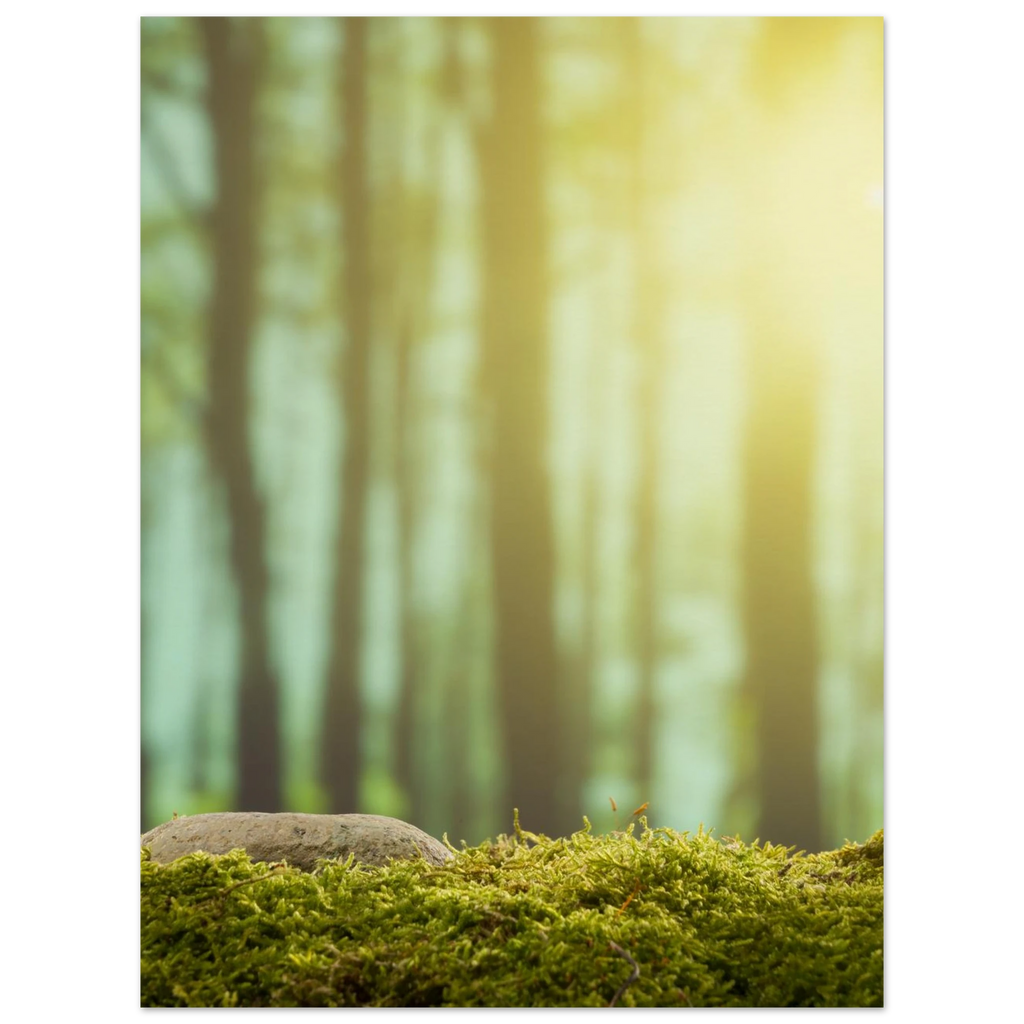 875d8685-f7bc-422a-b447-0be9fb689883