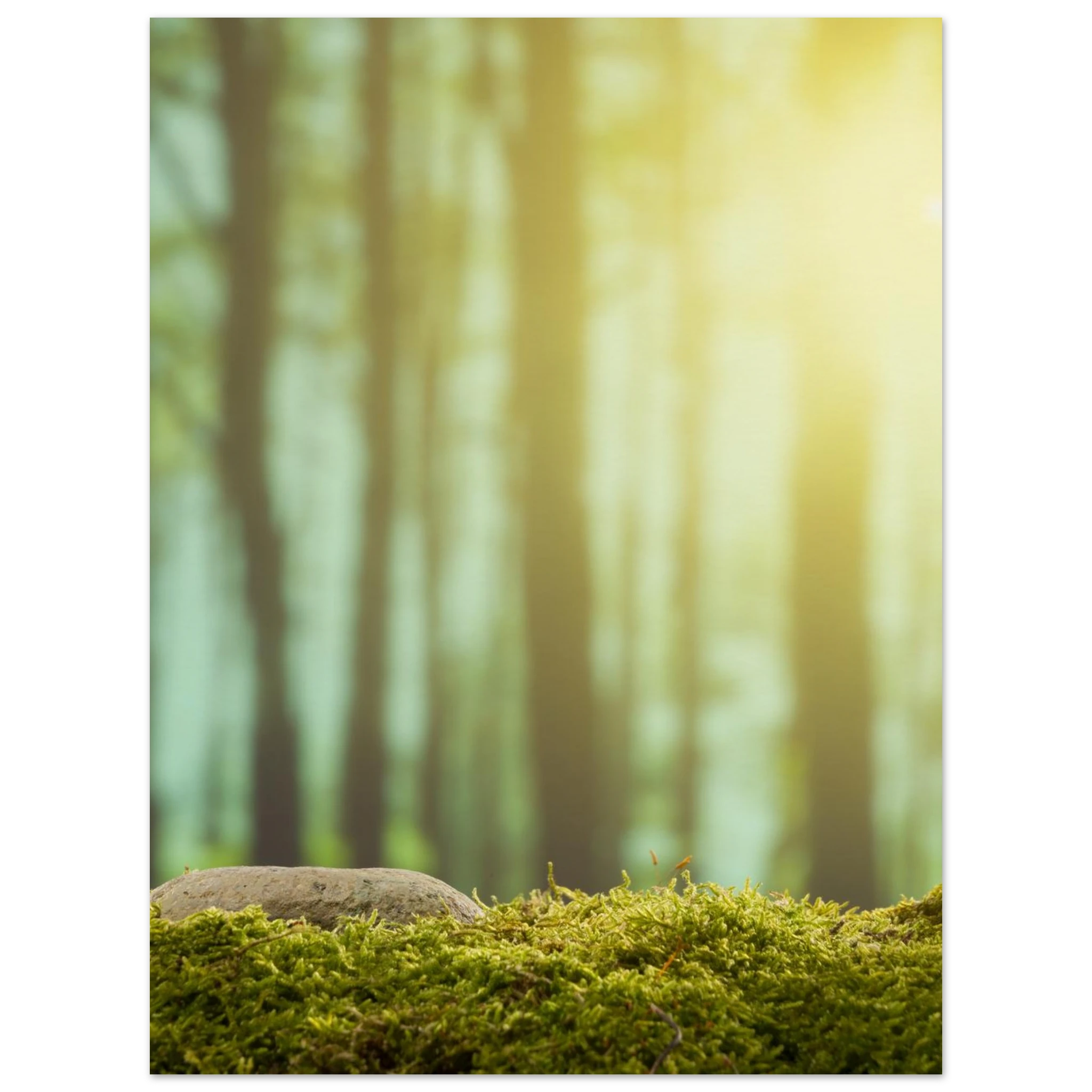 875d8685-f7bc-422a-b447-0be9fb689883