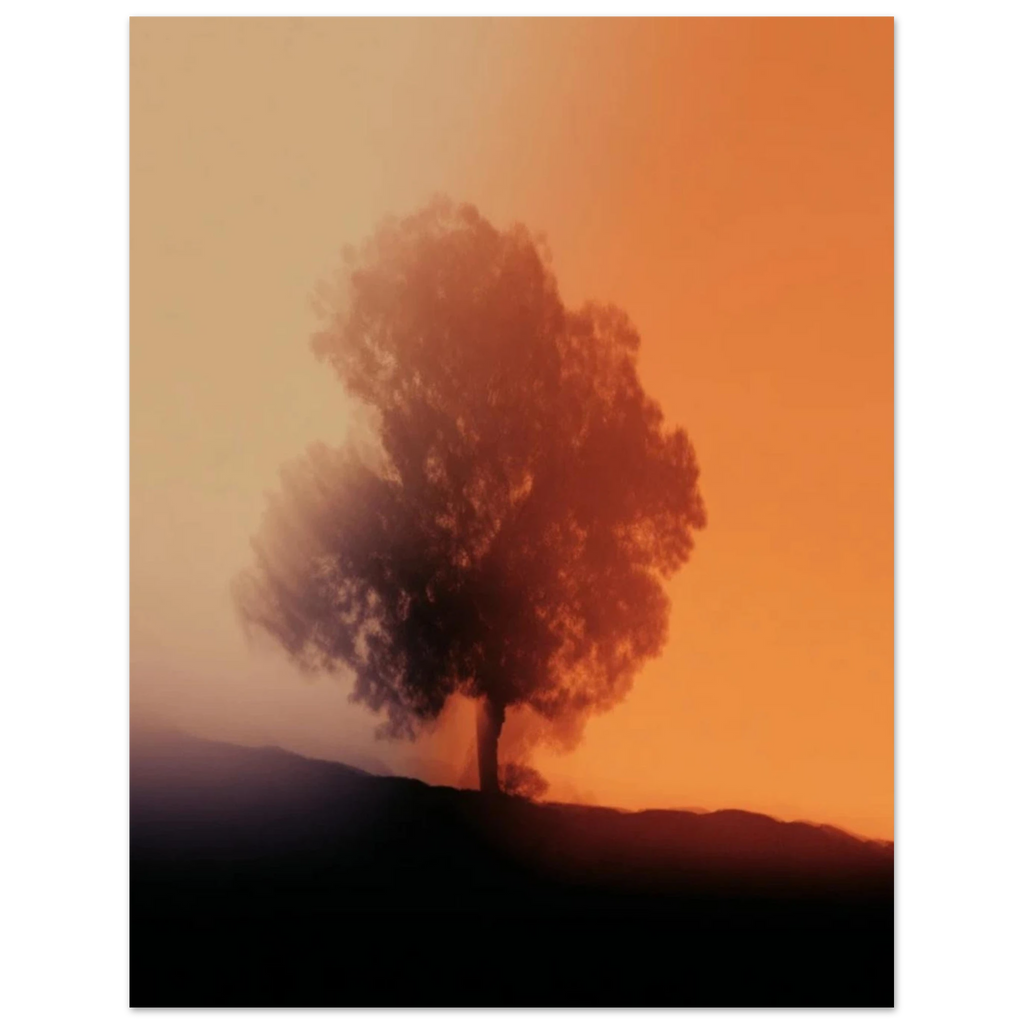 877e226d-04b1-4c7d-ba42-4d176b61240c