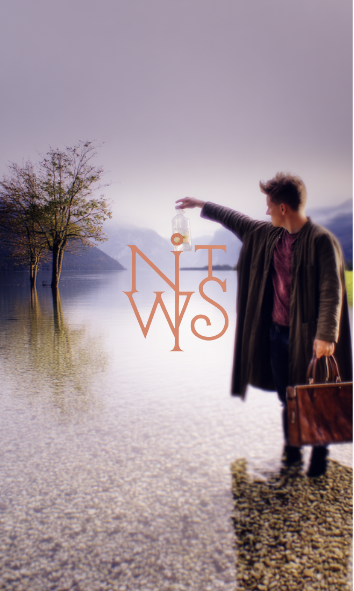 "Echoes of a Dream: The Wanderer's Solitude"