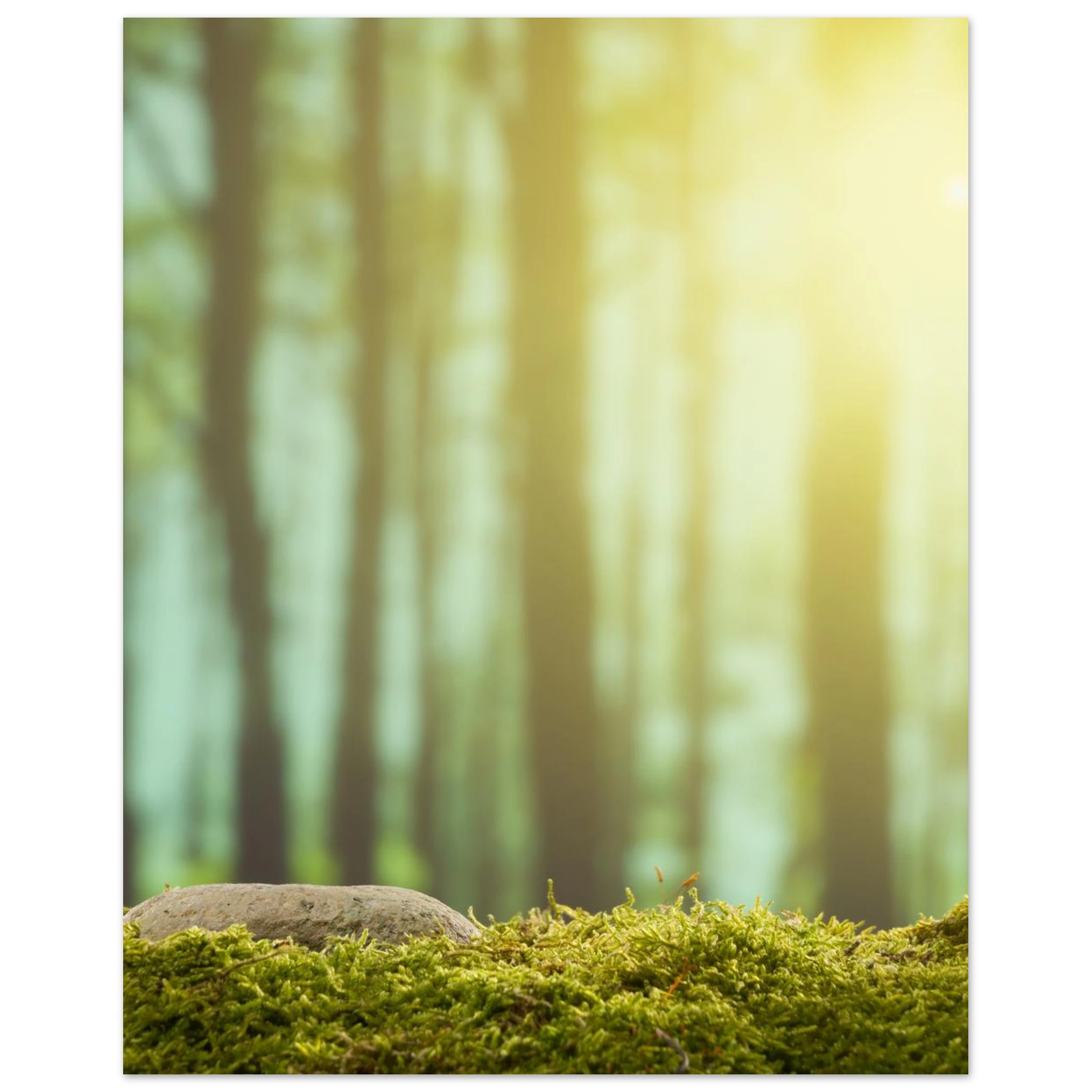 8e660670-059a-4892-be57-d1b485eea83f