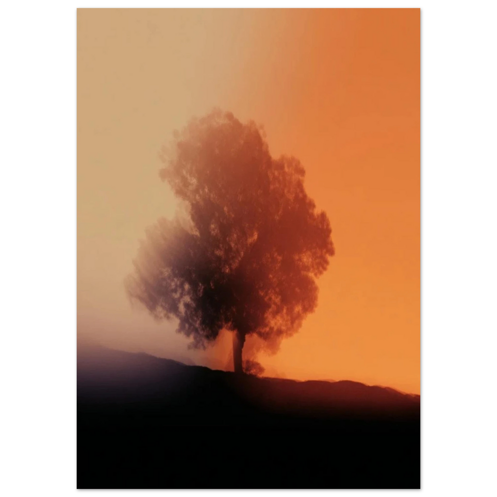 9359ac38-4a06-4a8e-a309-2acbeae242d3