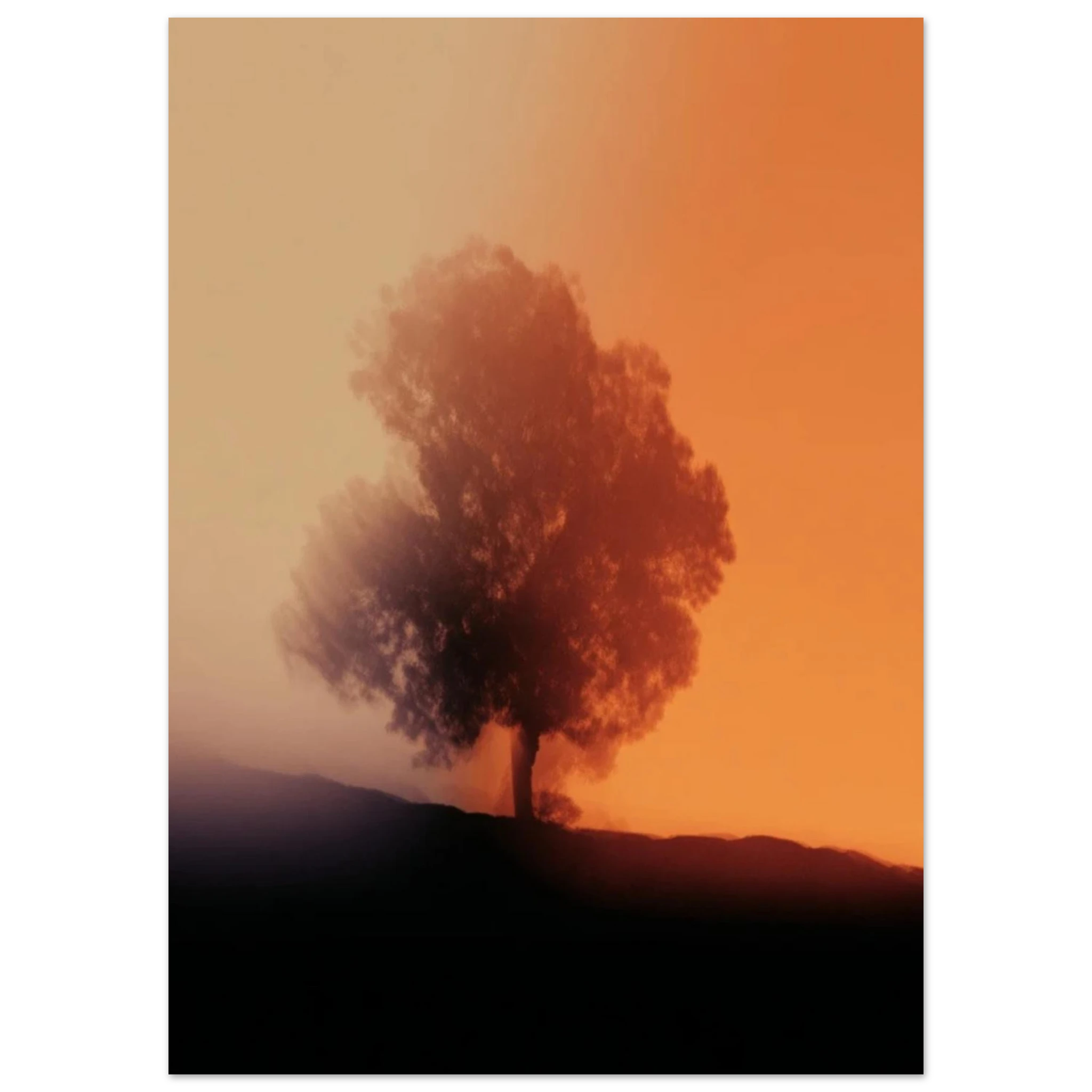 9359ac38-4a06-4a8e-a309-2acbeae242d3