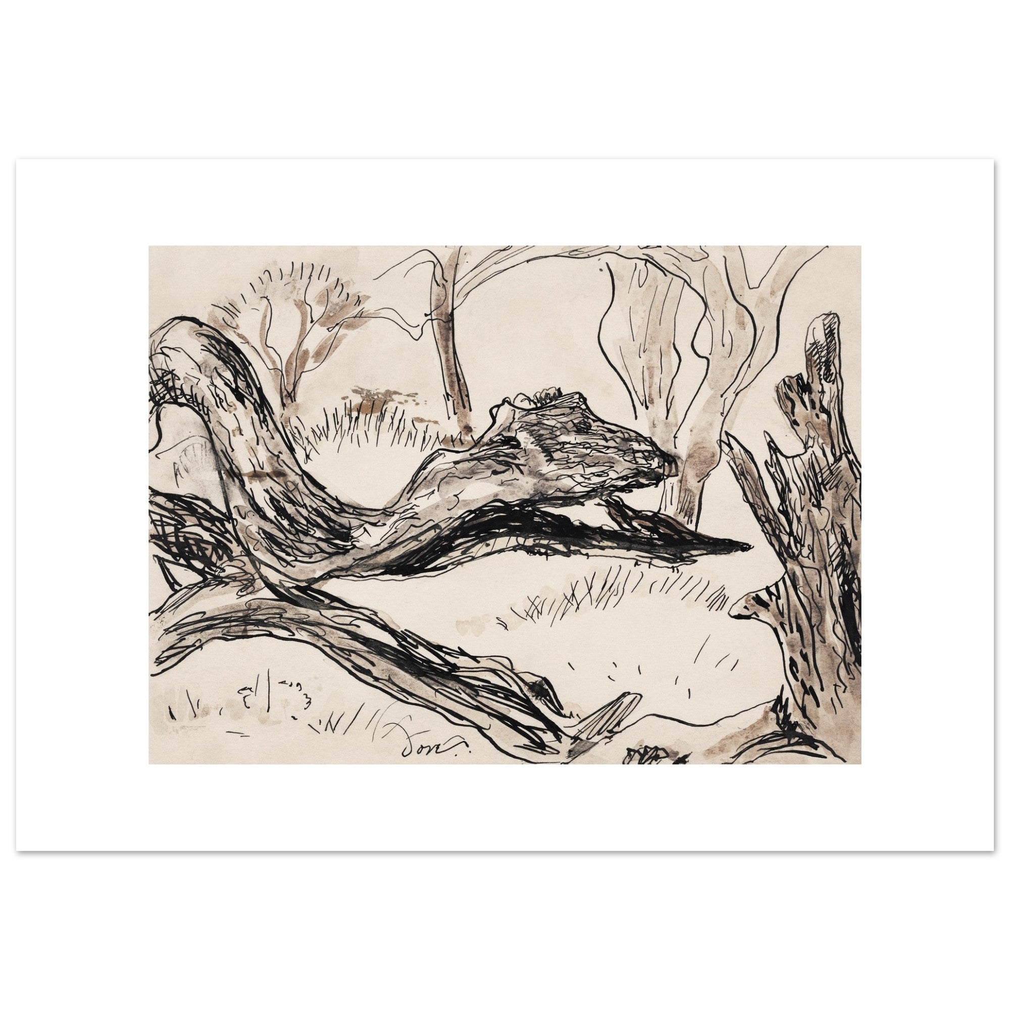 Fine Art Poster