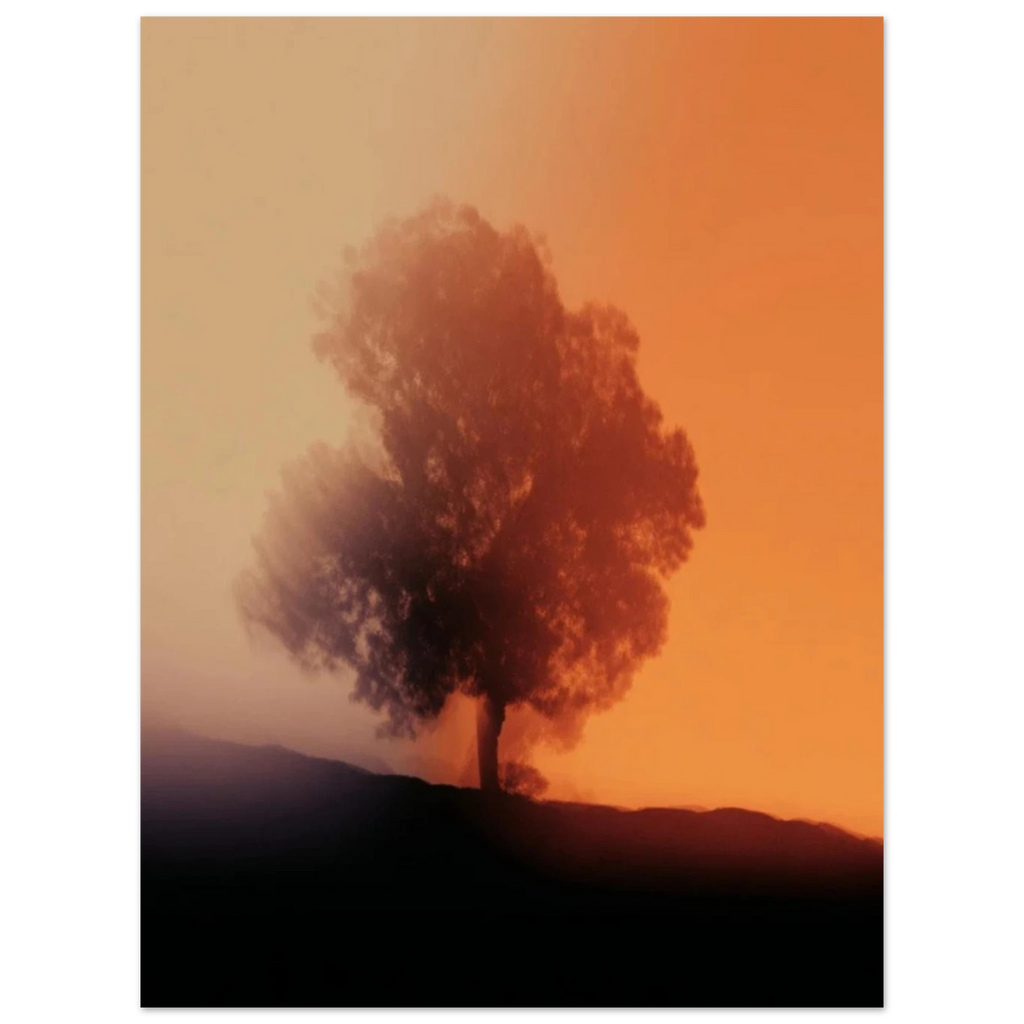 992abd3e-8f54-4144-836e-91d0d8712429