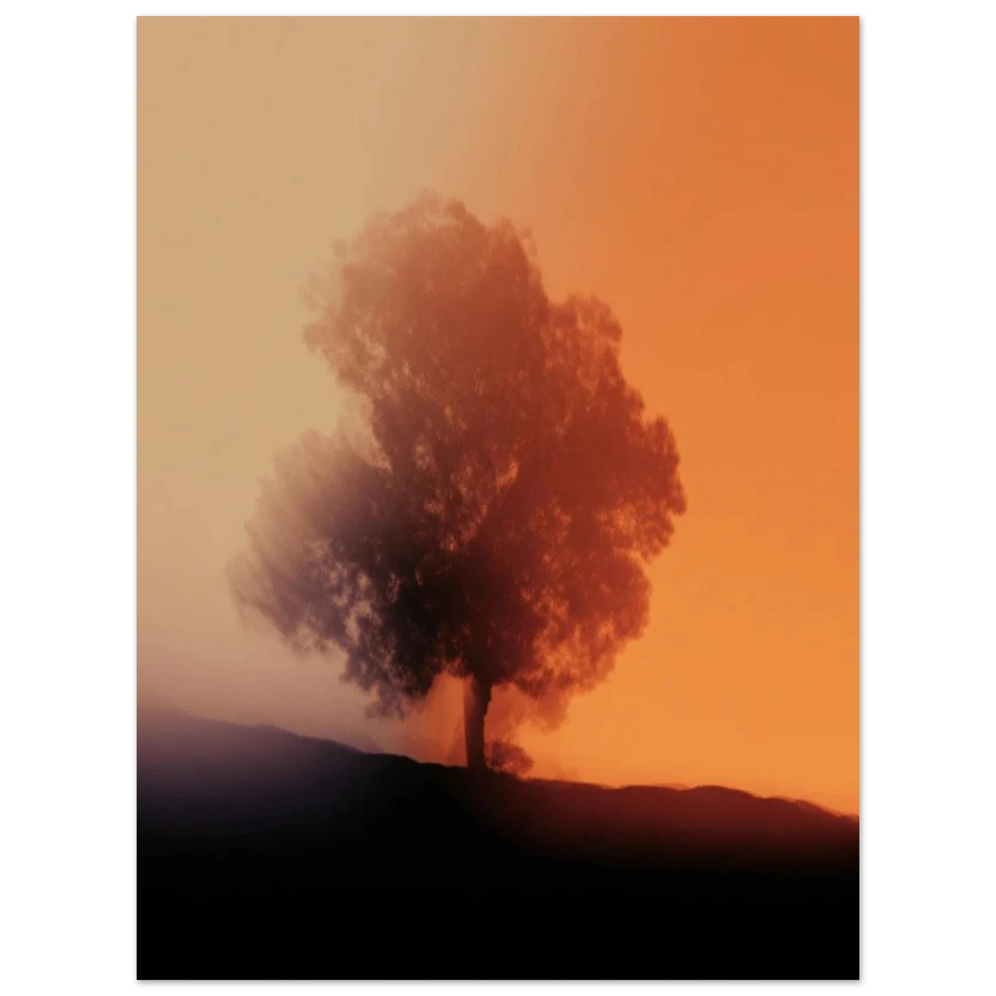 992abd3e-8f54-4144-836e-91d0d8712429