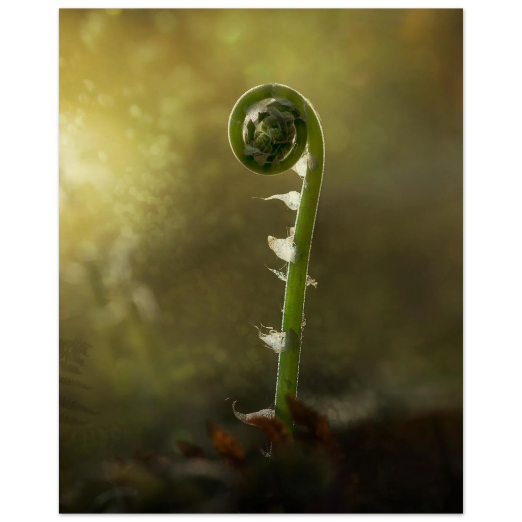 9ce27b49-075e-40b5-a78a-c0bb0f117fd2